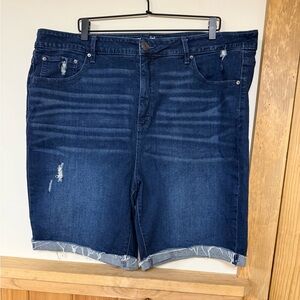 Terra & Sky Denim Shorts